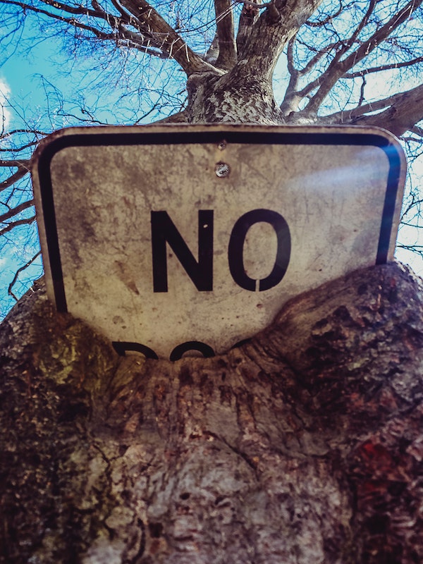 No Parking sign buried in the bark of a tree so that only No can be read.